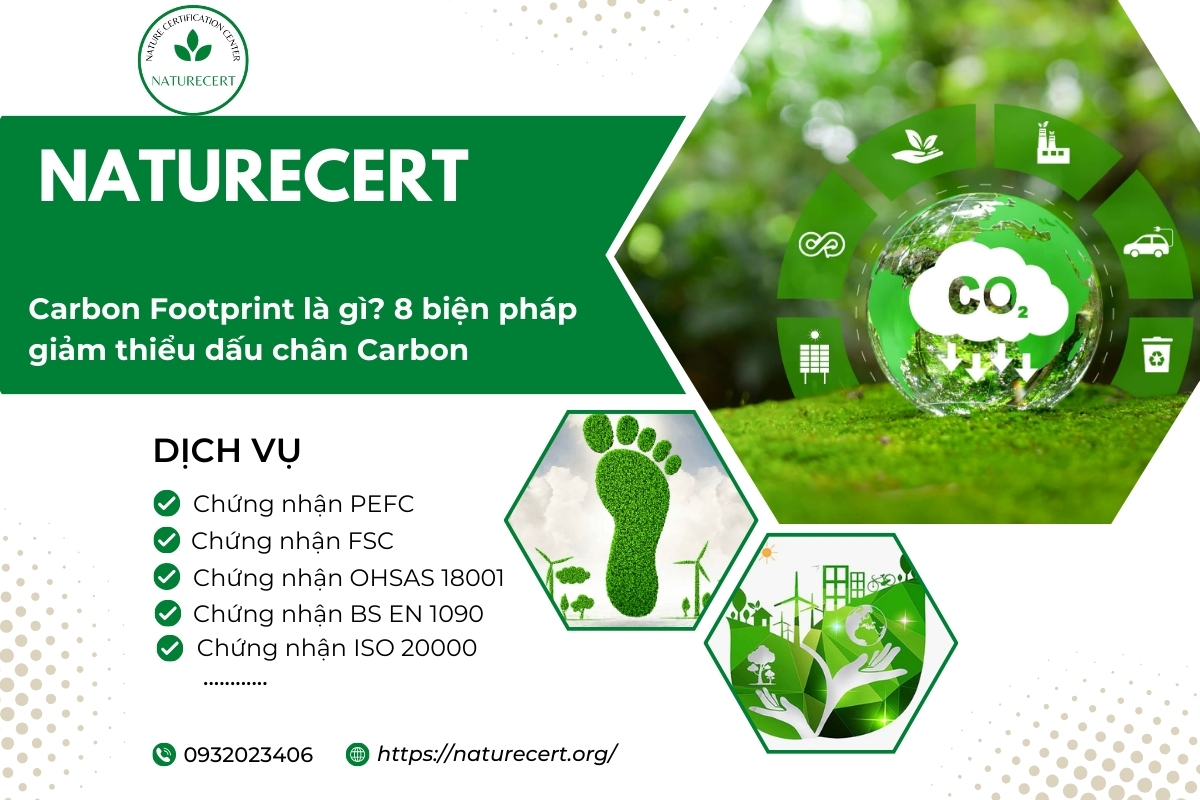 Carbon Footprint là gì? 8 biện pháp giảm thiểu dấu chân Carbon