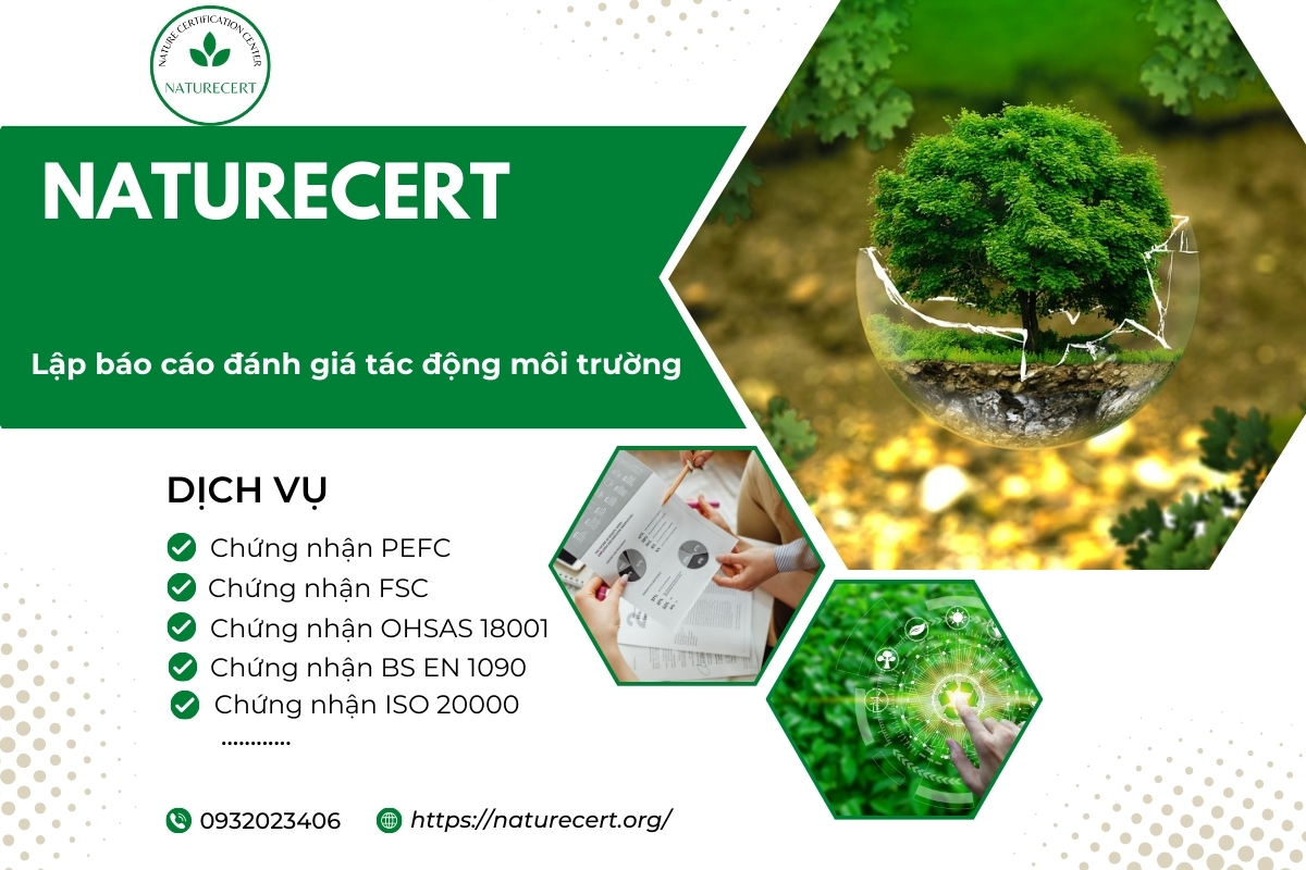 Lập báo cáo đánh giá tác động môi trường 