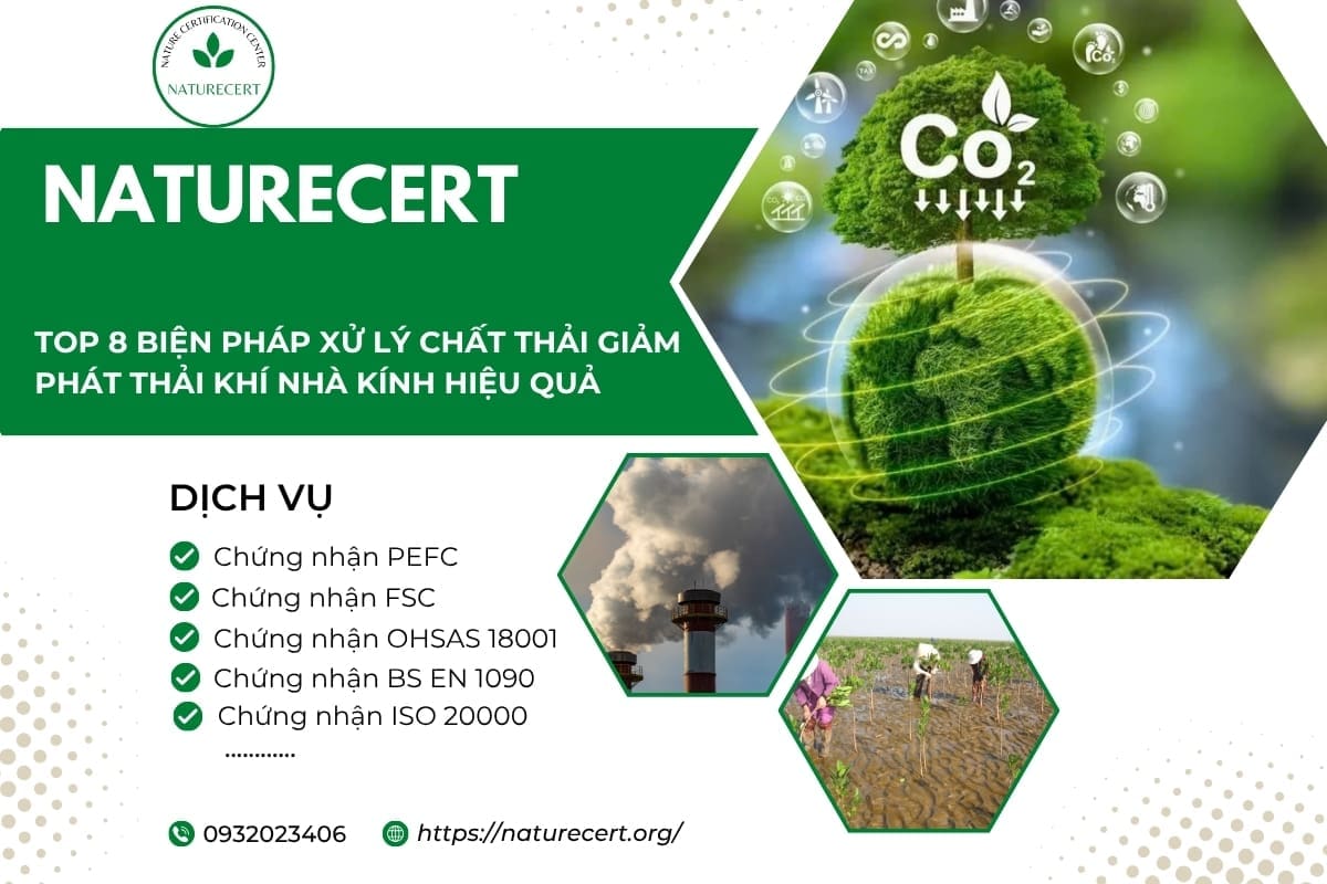 TOP 8 BIỆN PHÁP XỬ LÝ CHẤT THẢI GIẢM PHÁT THẢI KHÍ NHÀ KÍNH HIỆU QUẢ