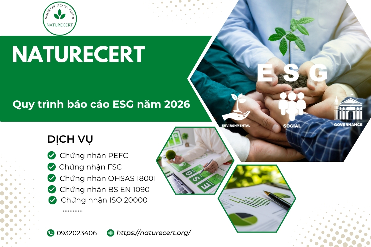 Quy trình báo cáo ESG năm 2026