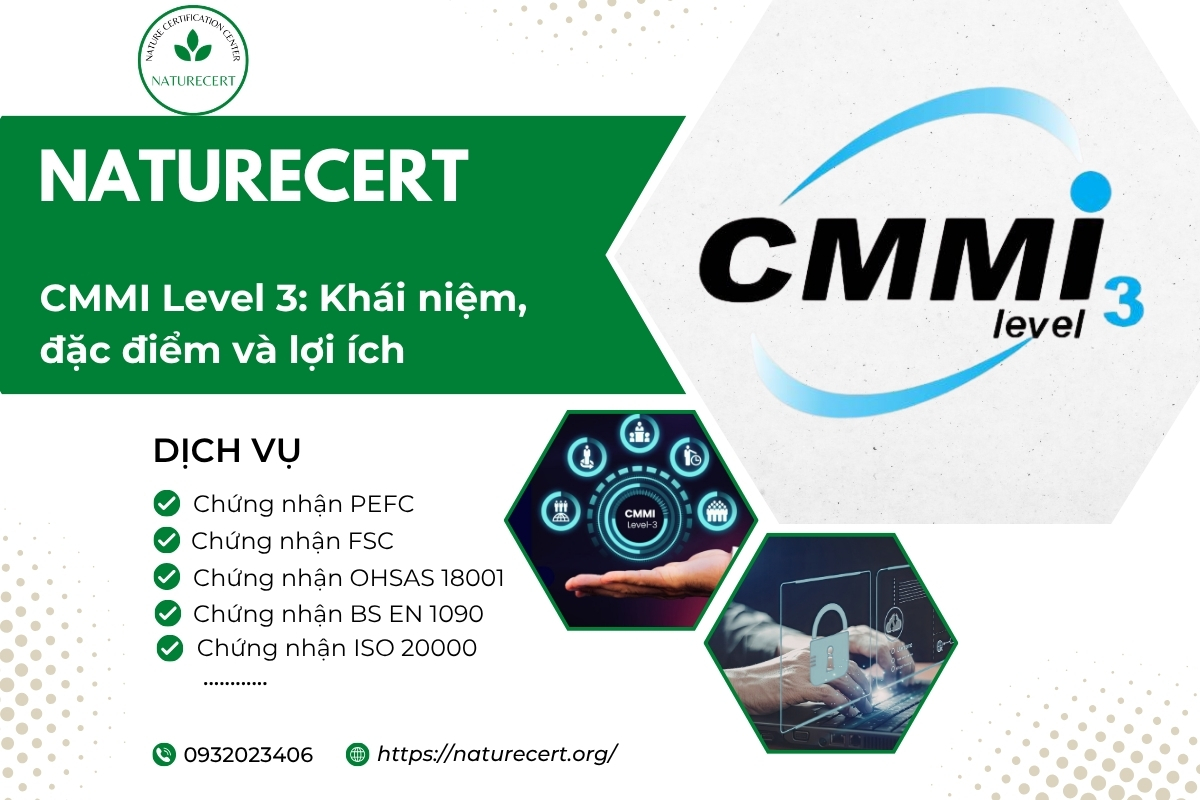 CMMI Level 3: Khái niệm, đặc điểm và lợi ích